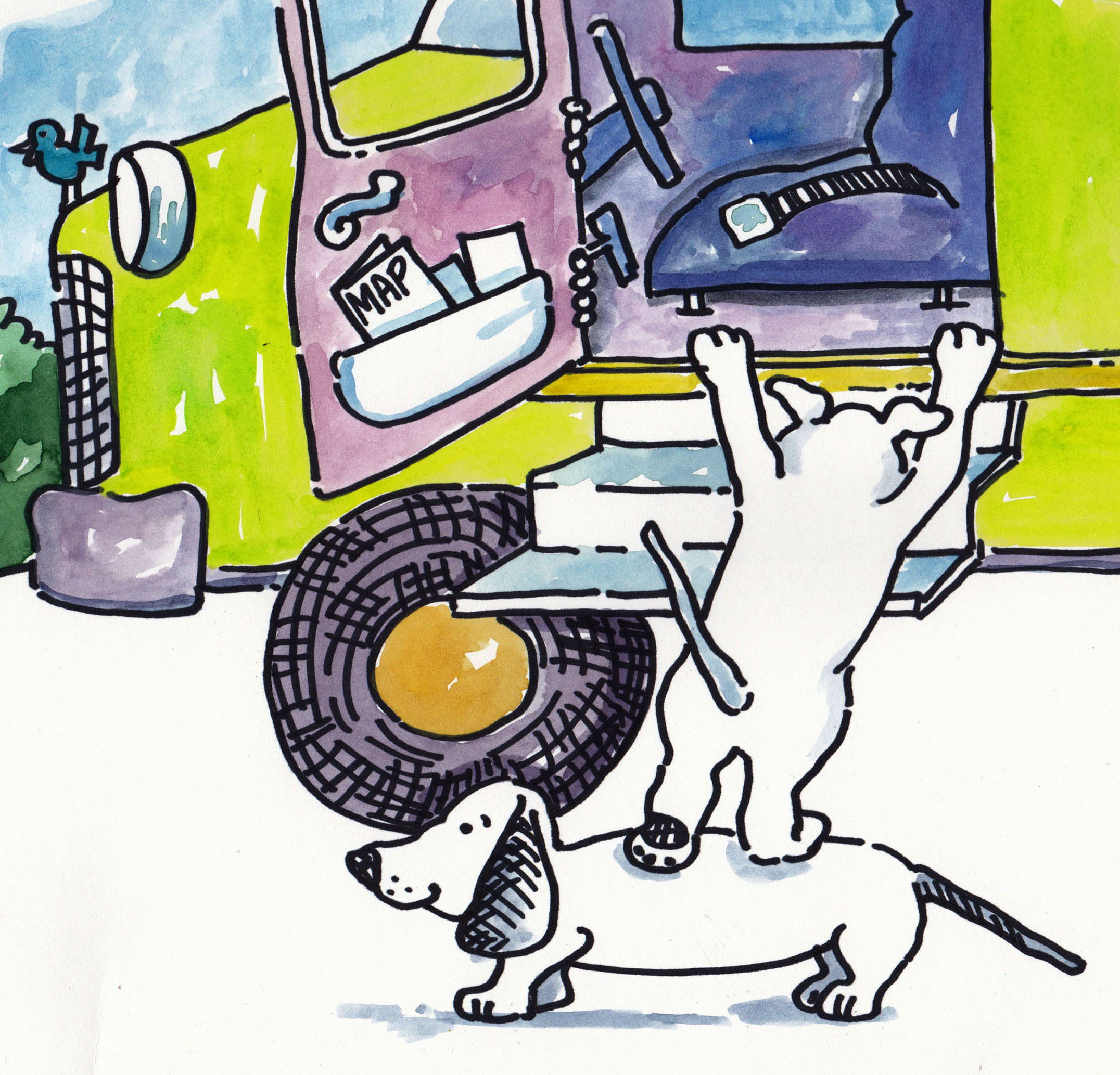 dogs dont drive 14